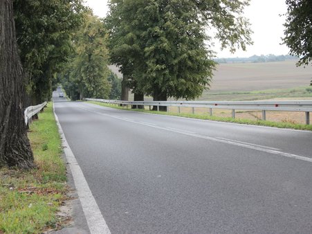 Zdjęcie podglądowe odcinka drogi Bądki – Jaromierz.