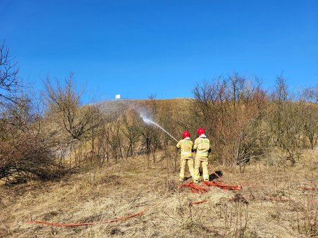 Zdjęcie ilustracyjne do treści artykułu przedstawia strażaków gaszących płonącą trawę.