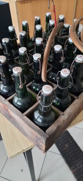 164427303 2935661983385067 2088399718251782177 n