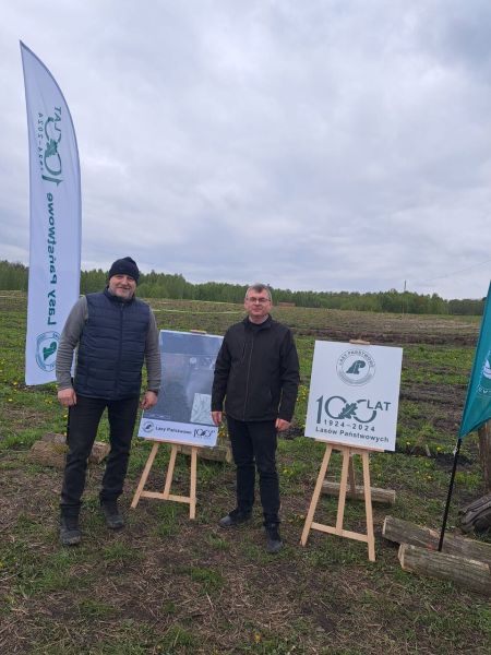 sadzenie lasu1