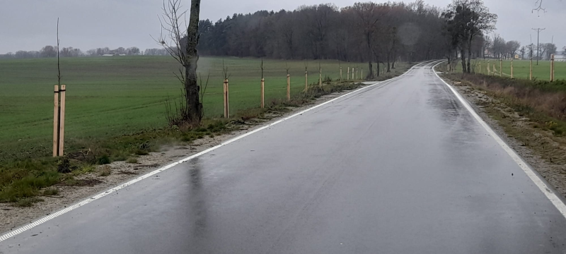 pas drogowy z nasadzonymi w ramach przedsięwzięcia drzewami.